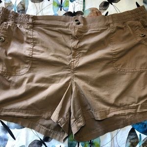 Sonoma brown shorts 24W